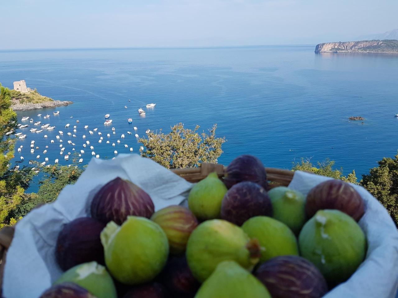 Villa Crawford San Nicola Arcella Luaran gambar